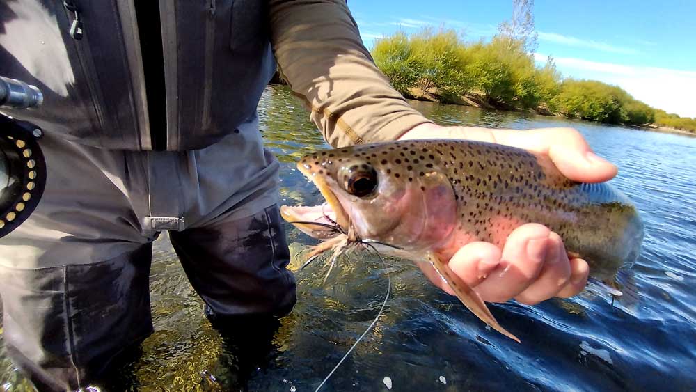 Patagonia Fly Fishing Photo